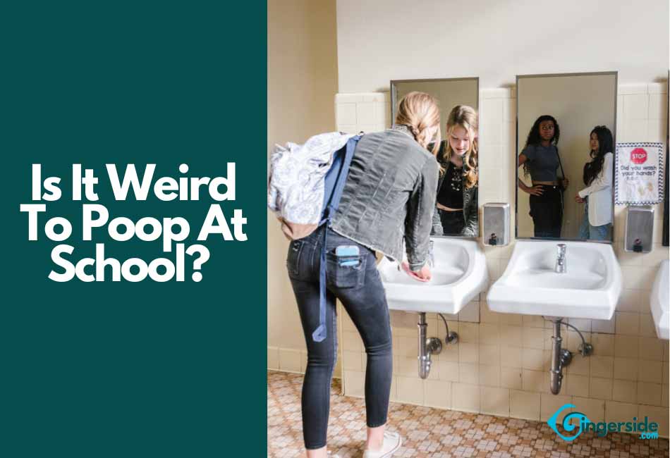 Is It Weird To Poop At School?